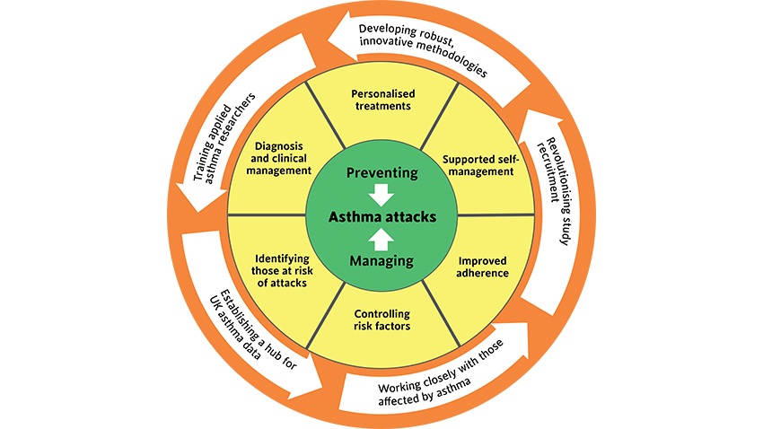 Diagram describing our areas of work